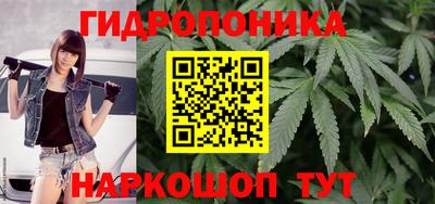 apvp Краснознаменск