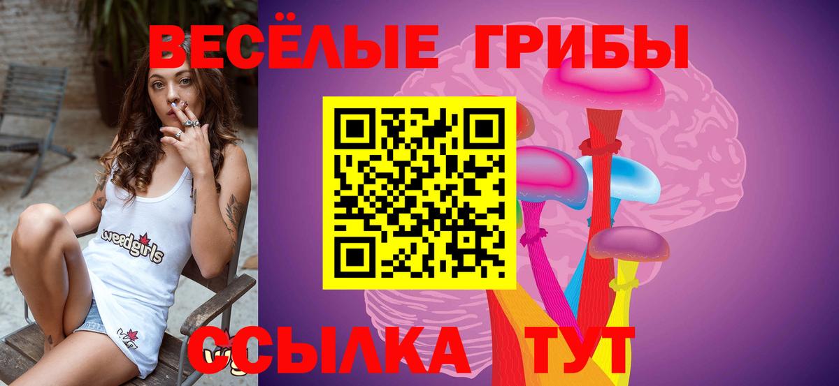 Псилоцибиновые грибы MAGIC MUSHROOMS Гулькевичи